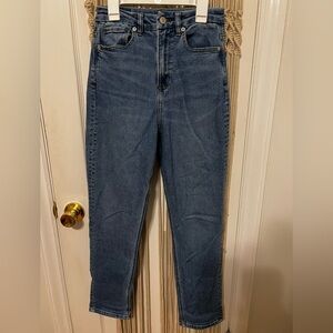 American Eagle Curvy Mom Jean